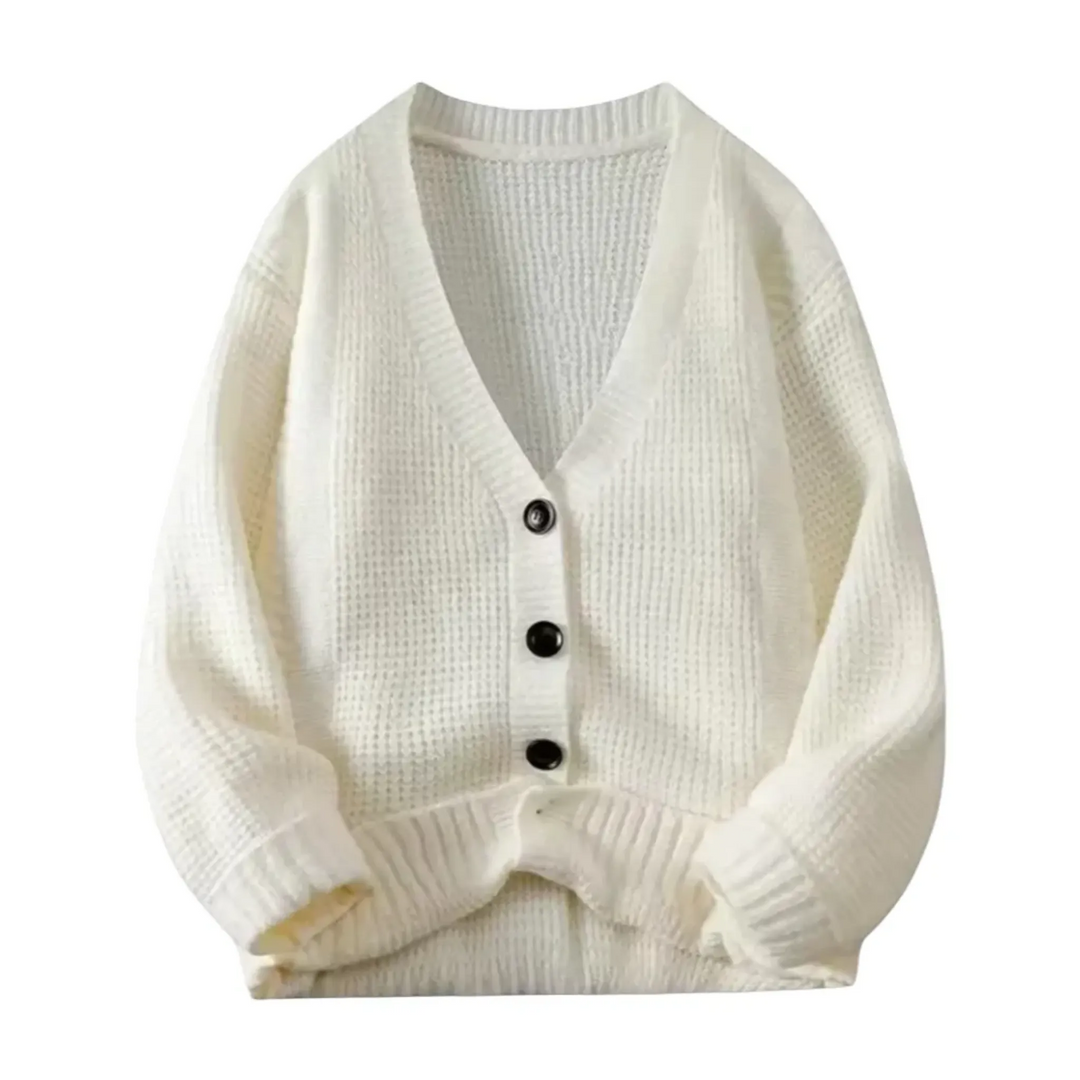 Men's V-Neck Cozy Knit Cardigan